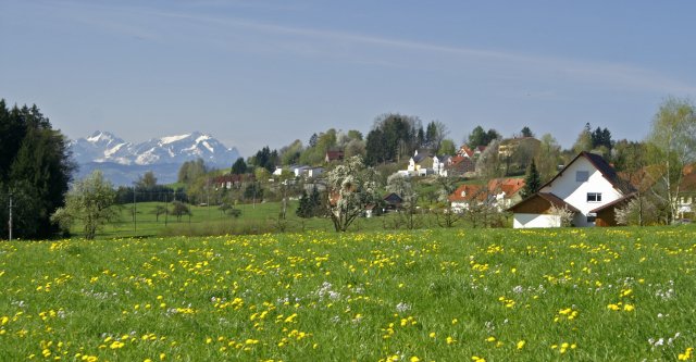 Grossansicht in neuem Fenster: Ortspanorama von Sigmarszell